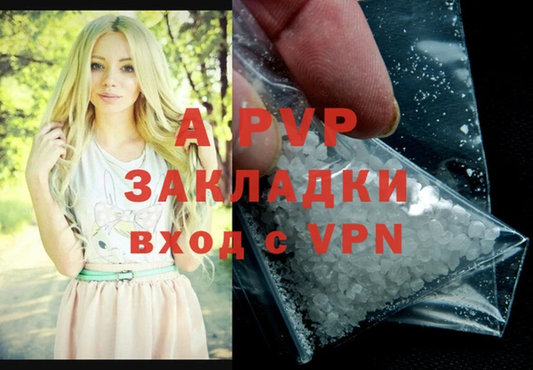 стаф Баксан