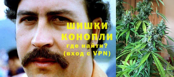 ГАЛЛЮЦИНОГЕННЫЕ ГРИБЫ Балабаново