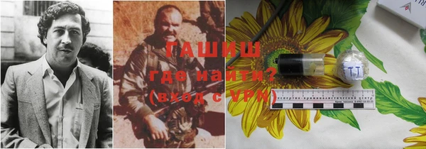стаф Баксан