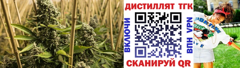 Дистиллят ТГК вейп  Чегем 