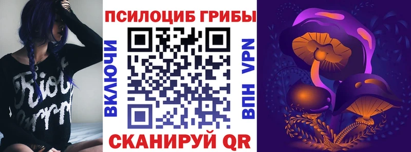 наркотики  Чегем  Псилоцибиновые грибы Cubensis 